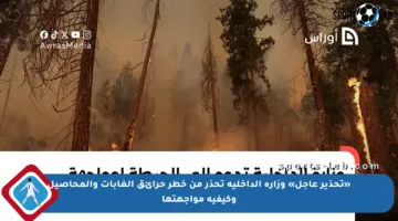 «تحذير عاجل» وزارة الداخلية تحذر من خطر حرائق الغابات والمحاصيل وكيفية مواجهتها